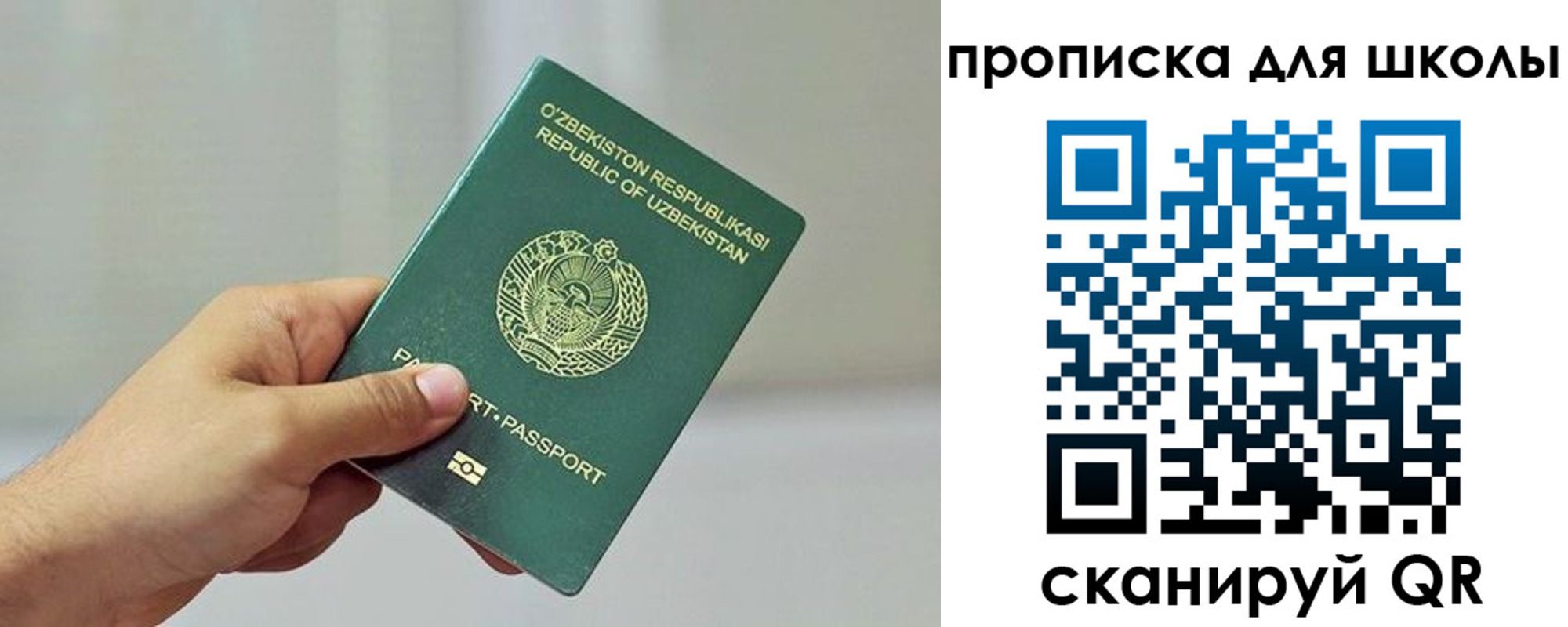 временная регистрация гарантия в Ивантеевке